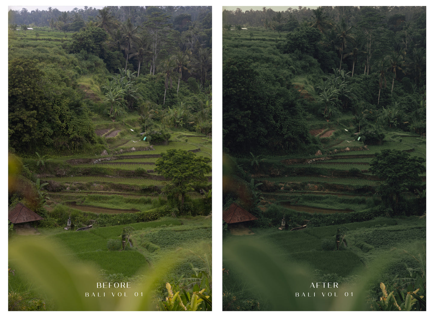 Premium Lightroom Presets - BALI VOLUMES